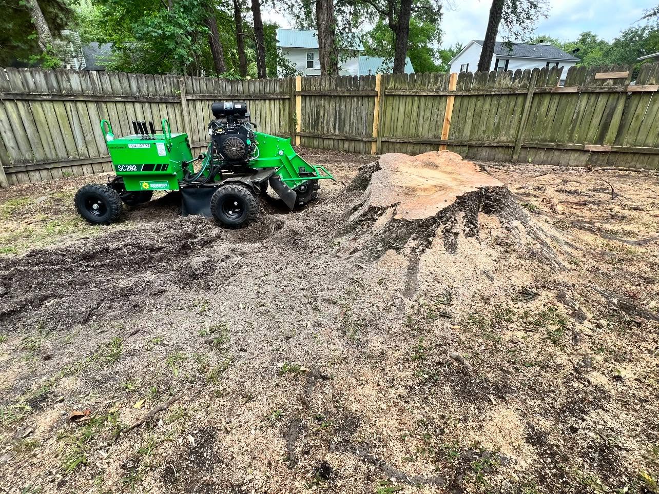 Green SC292 stump grinder actively working on a massive exposed stump in a fenced backyard with wood chip debris spread across the ground